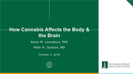 How Cannabis Affects the Body & the Brain