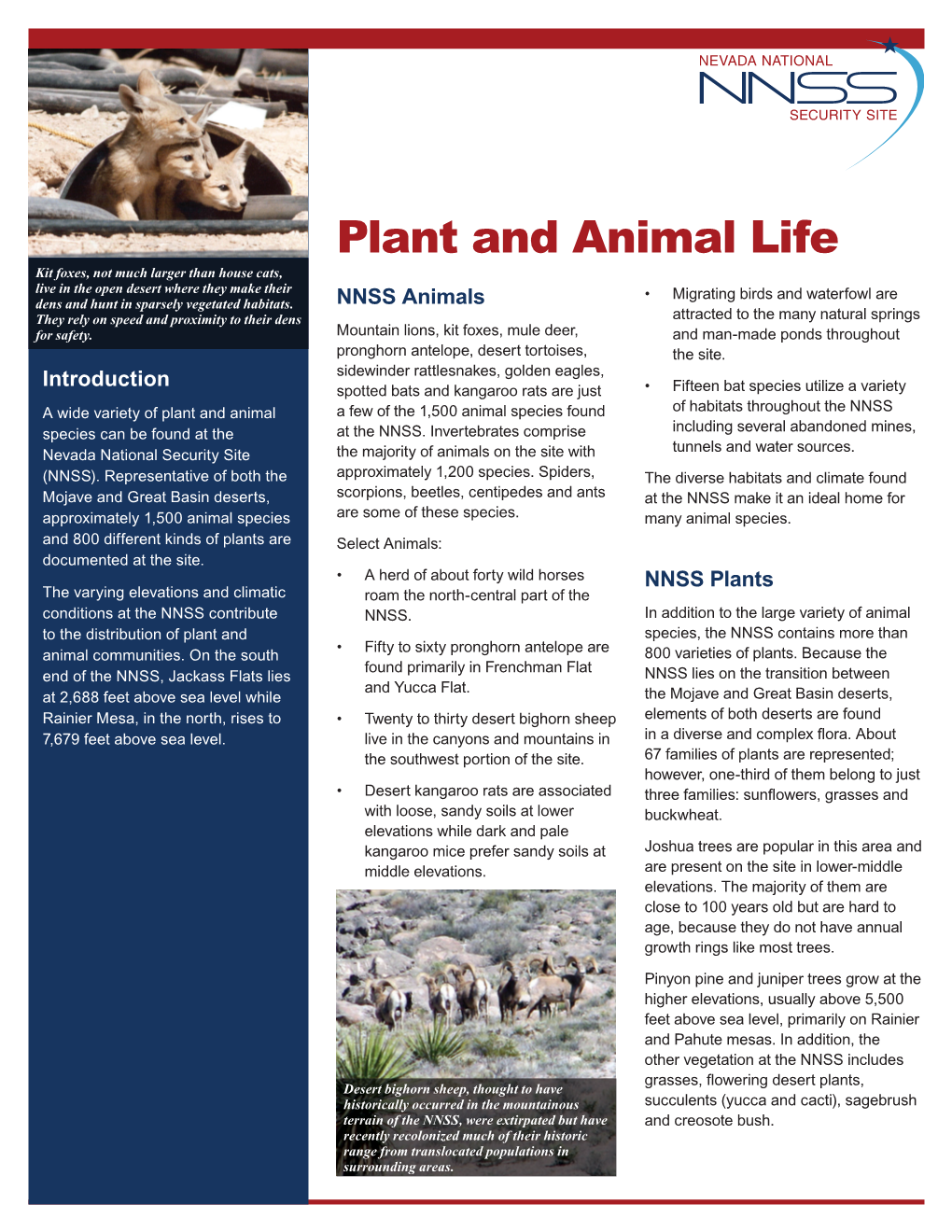 Plant and Animal Life