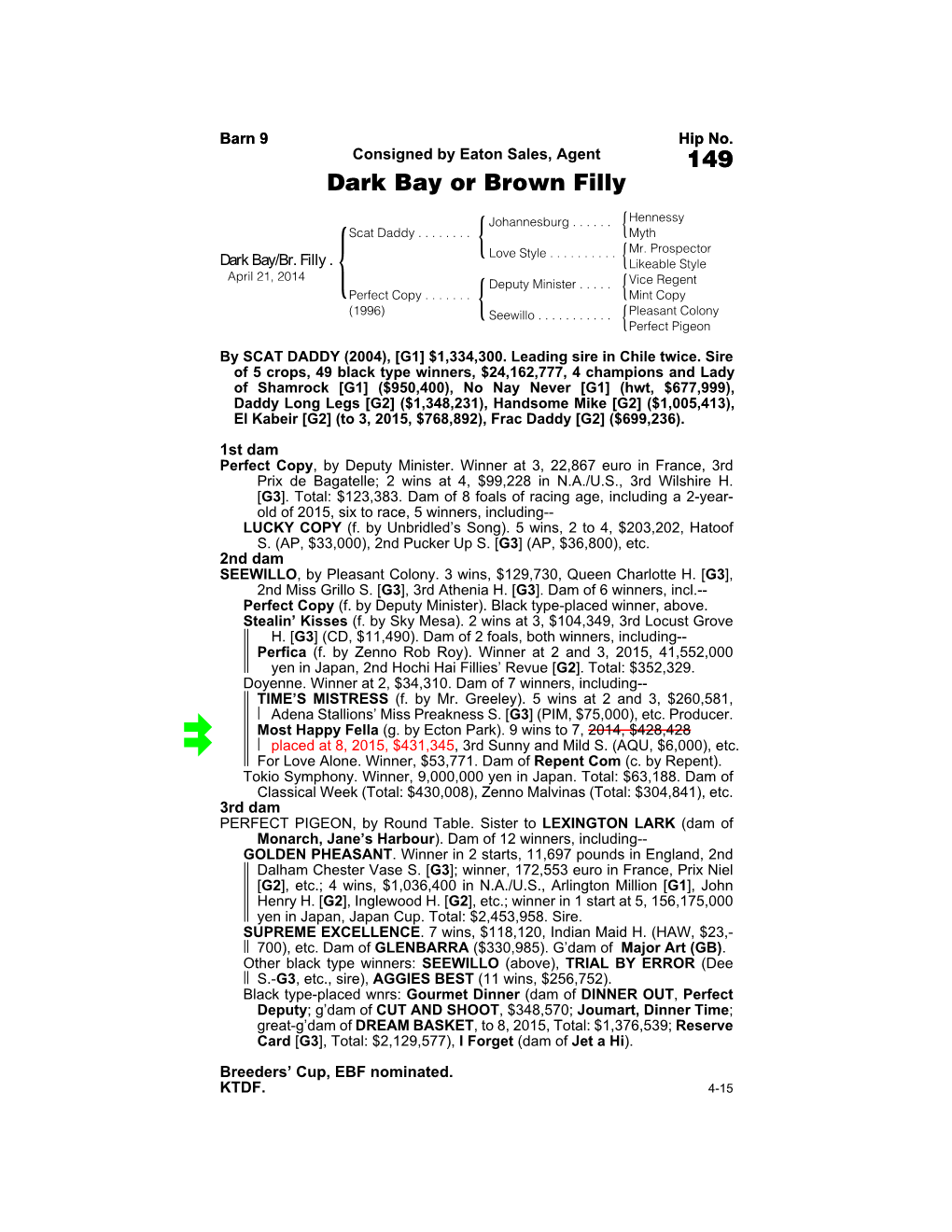 149 Dark Bay Or Brown Filly