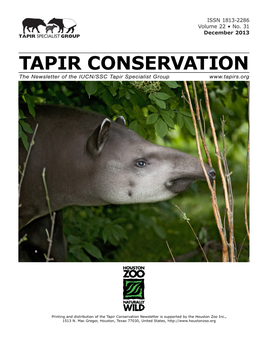 Tapirus Pinchaque
