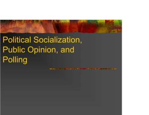 Political Socialization, Public Opinion, and Polling