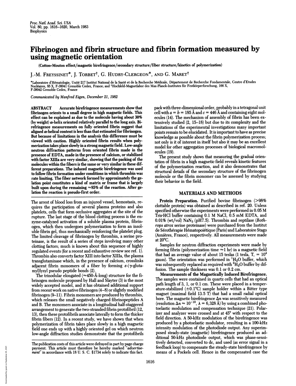 Fibrinogen and Fibrin Structure and Fibrin Formation Measured by Using Magnetic Orientation