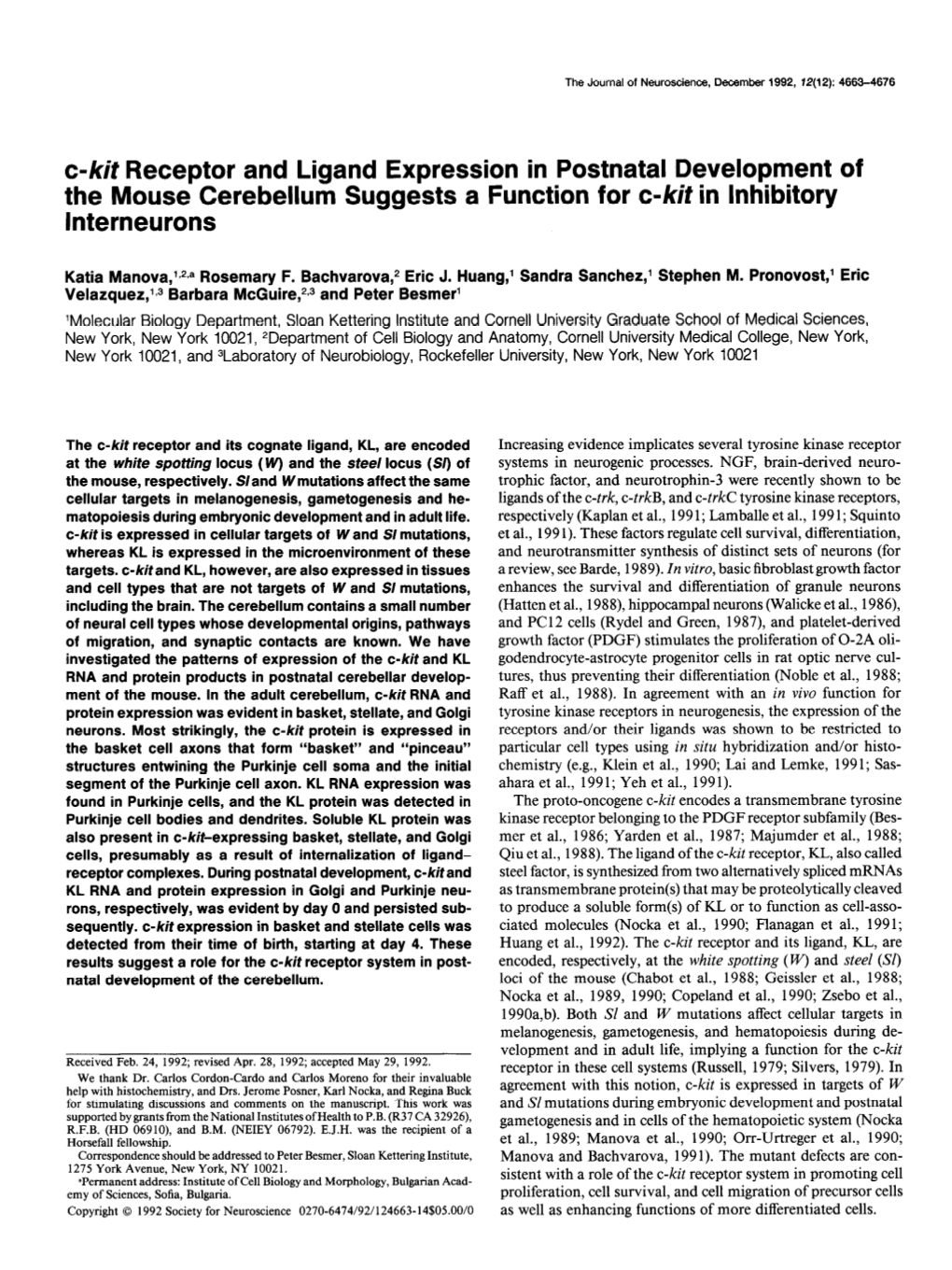 C-Kit Receptor and Ligand Expression in Postnatal Development of the Mouse Cerebellum Suggests a Function for C-Kif in Inhibitory Interneurons