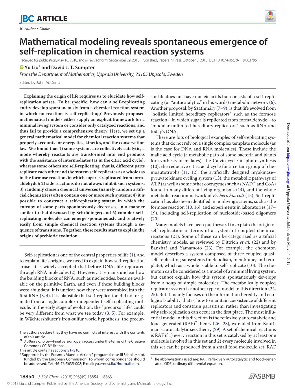 Mathematical Modeling Reveals Spontaneous Emergence of Self