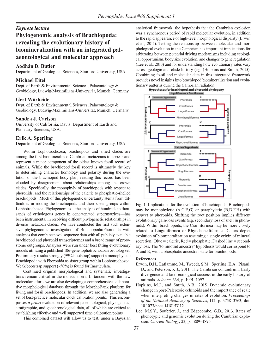 Phylogenomic Analysis of Brachiopoda: Revealing The