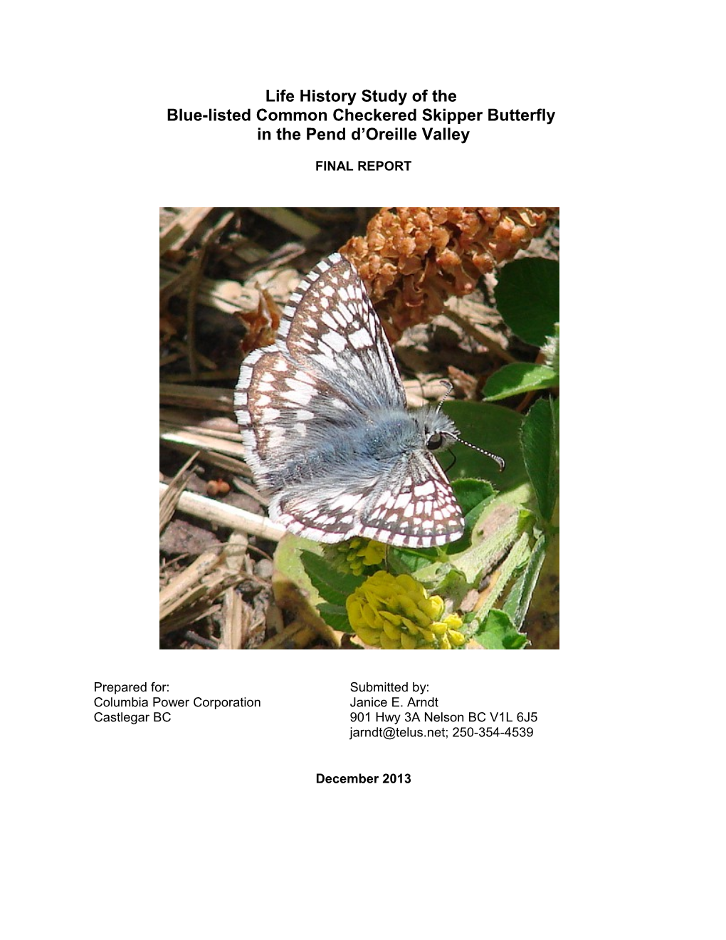 Life History of the Common Checkered Skipper 2013