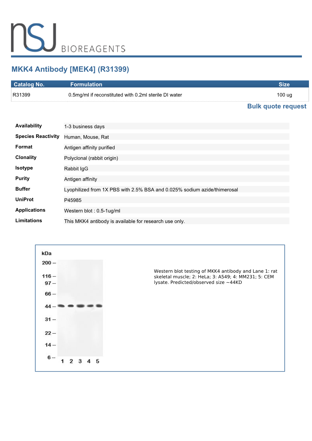 MKK4 Antibody [MEK4] (R31399)