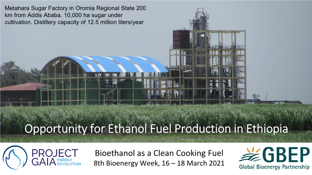 Opportunity for Ethanol Fuel Production in Ethiopia