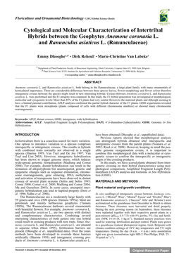 Cytological and Molecular Characterization of Intertribal Hybrids Between the Geophytes Anemone Coronaria L