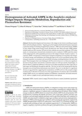 Overexpression of Activated AMPK in the Anopheles Stephensi Midgut Impacts Mosquito Metabolism, Reproduction and Plasmodium Resistance