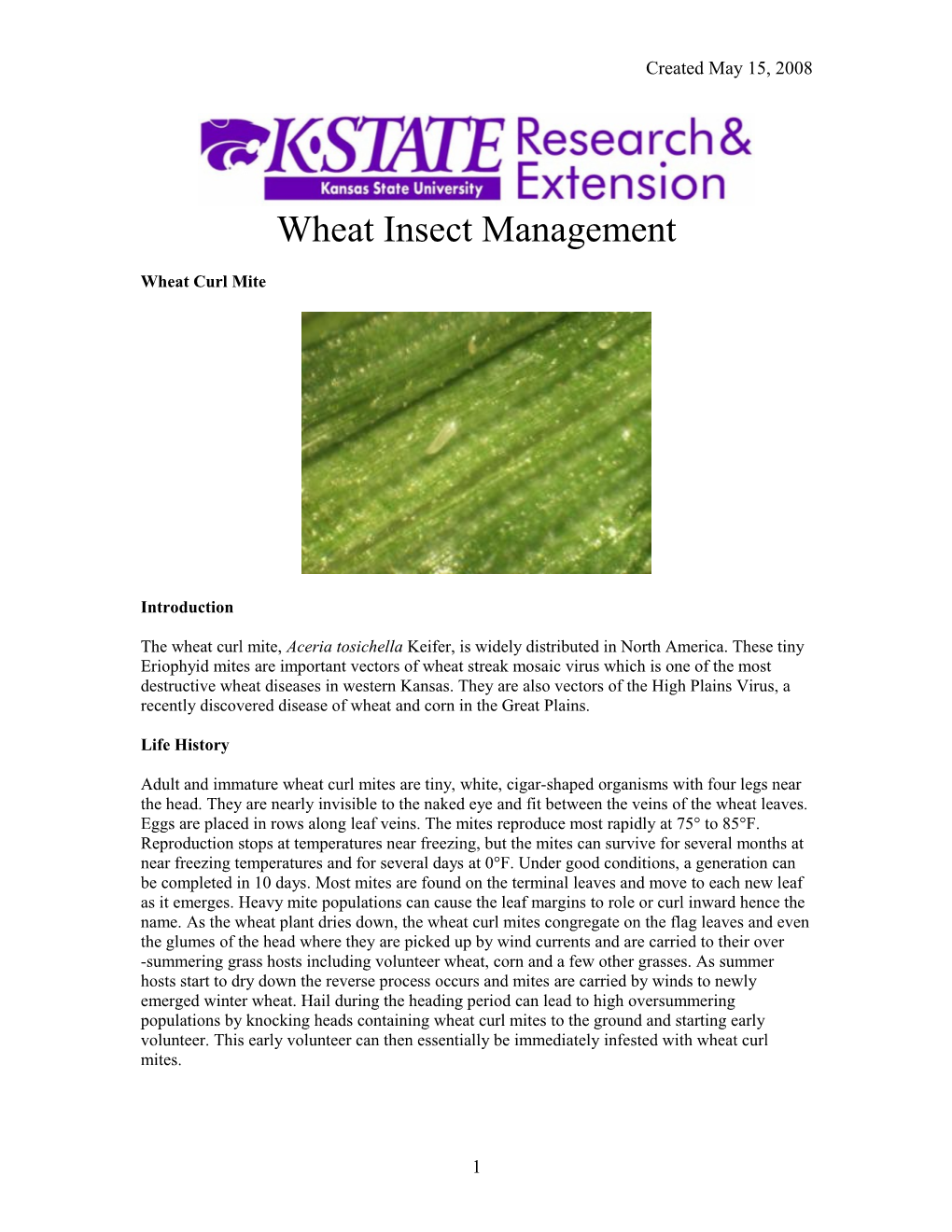 Wheat Insect Management