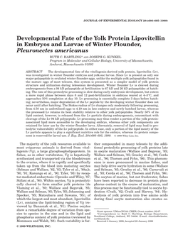 Developmental Fate of the Yolk Protein Lipovitellin in Embryos and Larvae of Winter Flounder, Pleuronectes Americanus