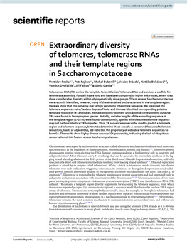 Extraordinary Diversity of Telomeres, Telomerase Rnas and Their