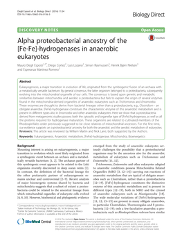 [Fe-Fe]-Hydrogenases in Anaerobic Eukaryotes