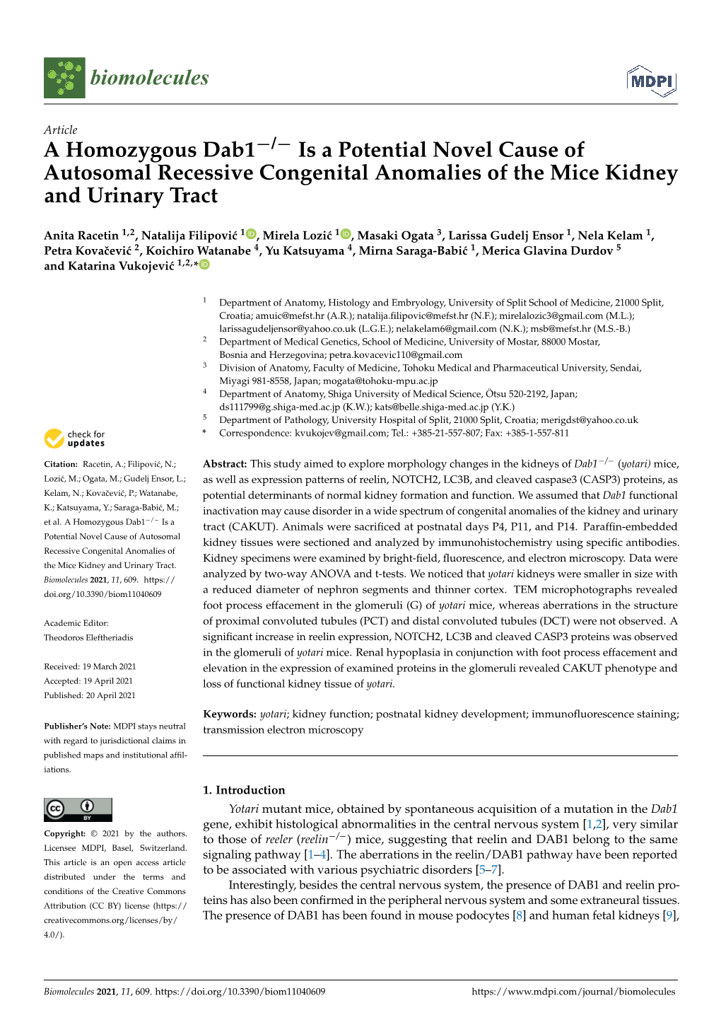 A Homozygous Dab1-/- Is a Potential Novel Cause of Autosomal