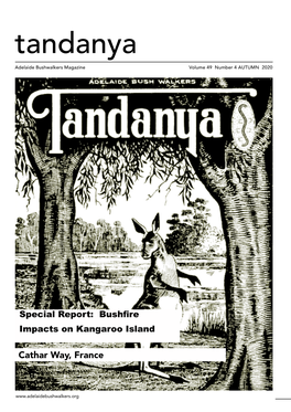 Tandanya Magazine