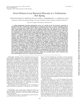 Novel Division Level Bacterial Diversity in a Yellowstone Hot Spring