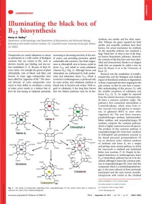 Illuminating the Black Box of B12 Biosynthesis Harry A