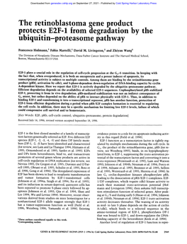 The Retinoblastoma Gene Product Protects E2F-1 from Degradation by the Ubiquitin-Proteasome Pathway