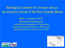 Biological Control of Arundo Donax; an Invasive Weed of the Rio Grande Basin