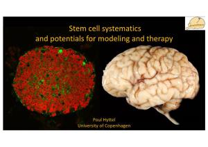 Stem/Cell/Systematics/And/Potentials/For/Modeling/And/Therapy