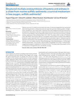 Structured Multiple Endosymbiosis of Bacteria and Archaea in a Ciliate from Marine Sulfidic Sediments: a Survival Mechanism in Low Oxygen, Sulfidic Sediments?