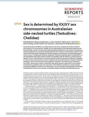 Sex Is Determined by XX/XY Sex Chromosomes in Australasian Side