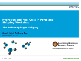 Hydrogen and Fuel Cells in Ports and Shipping Workshop