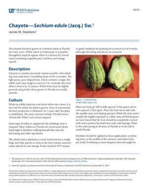 Chayote—Sechium Edule (Jacq.) Sw.1 James M