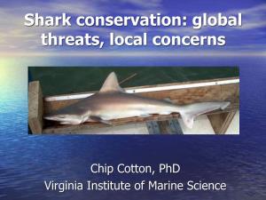 Shark Conservation: Global Threats, Local Concerns