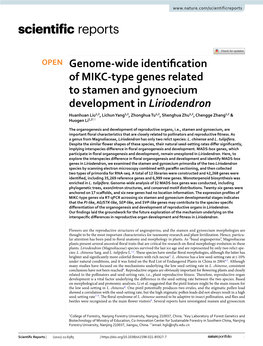 Genome-Wide Identification of MIKC-Type Genes Related to Stamen and Gynoecium Development in Liriodendron