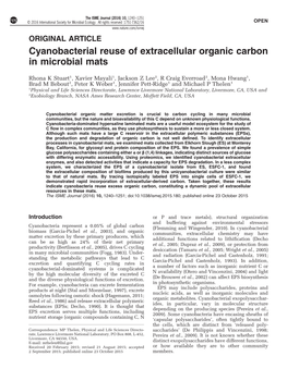 Cyanobacterial Reuse of Extracellular Organic Carbon in Microbial Mats