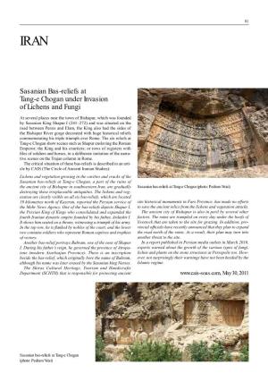 Sasanian Bas-Reliefs at Tang-E Chogan Under Invasion of Lichens and Fungi
