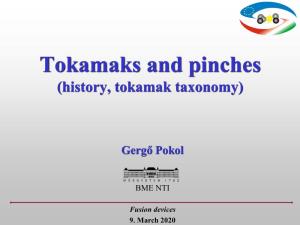 Tokamaks and Pinches (History, Tokamak Taxonomy)