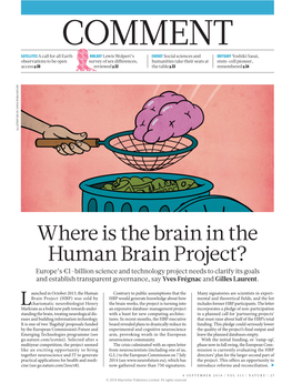 Where Is the Brain in the Human Brain Project?