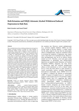 Both Ketamine and NBQX Attenuate Alcohol-Withdrawal Induced Depression in Male Rats