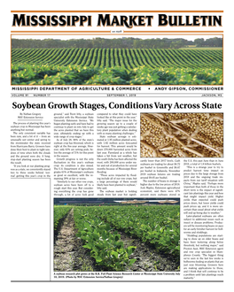 Soybean Growth Stages, Conditions Vary Across State