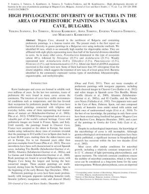 High Phylogenetic Diversity of Bacteria in the Area of Prehistoric Paintings in Magura Cave, Bulgaria
