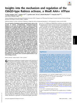 Insights Into the Mechanism and Regulation of the Cbbqo-Type Rubisco Activase, a Moxr AAA+ Atpase