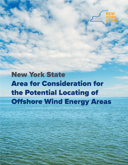 New York State Area for Consideration for the Potential Locating of Offshore Wind Energy Areas TABLE of CONTENTS