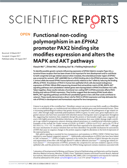 Functional Non-Coding Polymorphism in an EPHA2 Promoter PAX2
