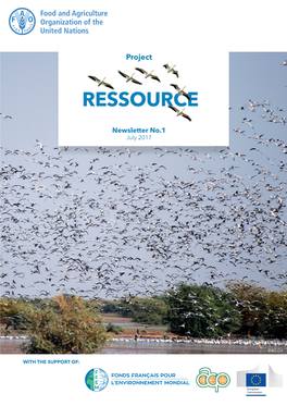 Project RESSOURCE Newsletter No.1, 1 July