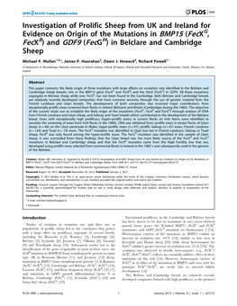 Investigation of Prolific Sheep from UK and Ireland for Evidence on Origin of the Mutations in BMP15 (Fecxg, Fecxb) and GDF9 (Fecgh) in Belclare and Cambridge Sheep