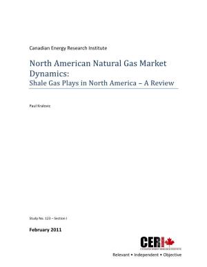 Shale Gas Plays in North America – a Review