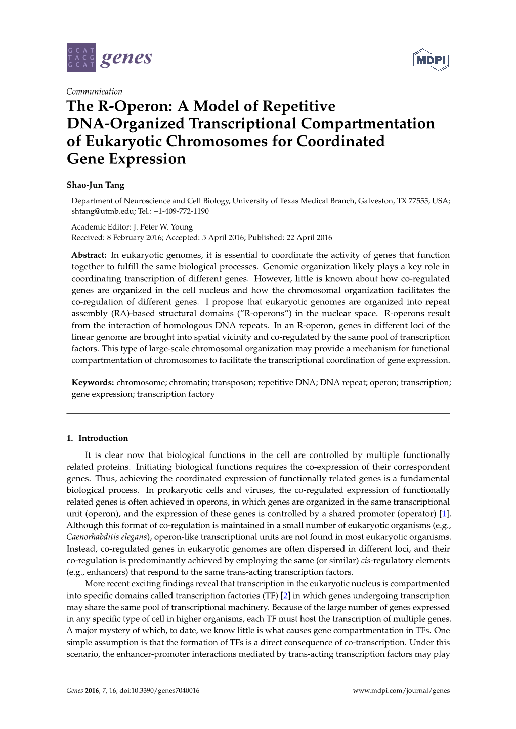 The R-Operon: a Model of Repetitive DNA-Organized Transcriptional Compartmentation of Eukaryotic Chromosomes for Coordinated Gene Expression