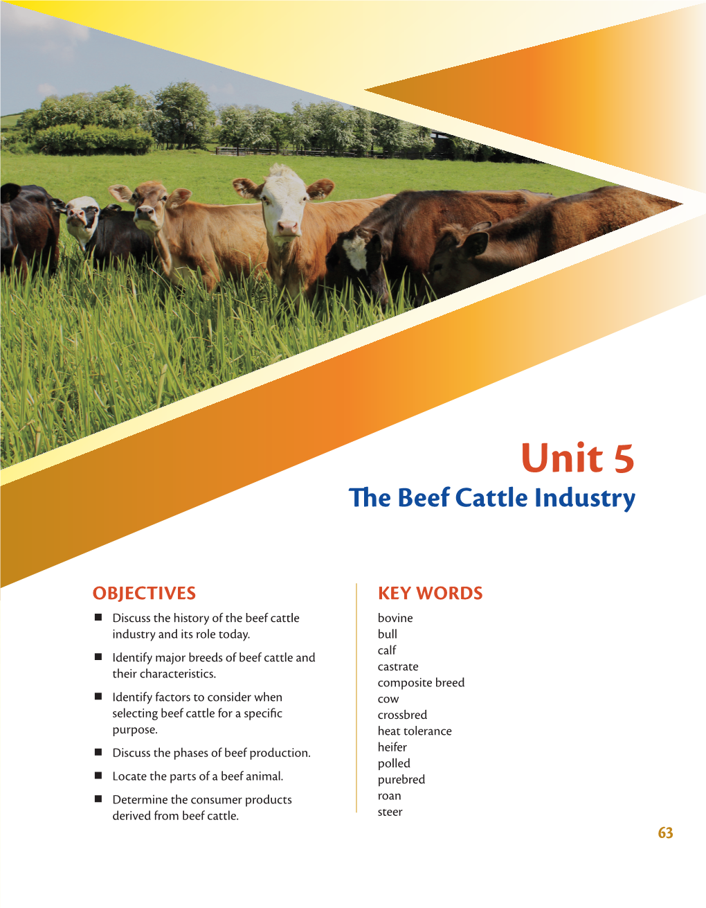 Unit 5 Te Beef Cattle Industry