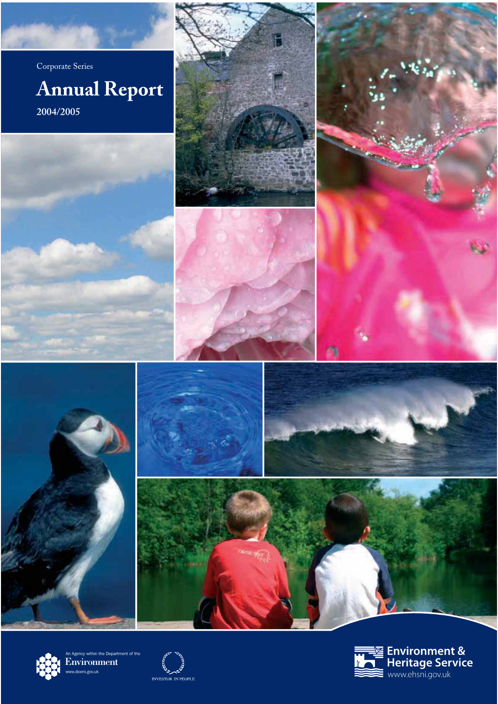 Environment and Heritage Service Annual Report and Agency Accounts for the Year Ended 31 March 2005