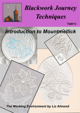 Introduction to Mountmellick Embroidery