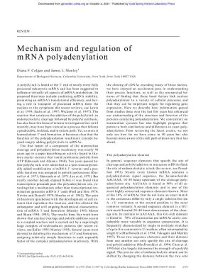 Mechanism and Regulation of Mrna Polyadenylation