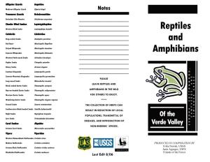 Reptiles and Amphibians of the Verde Valley
